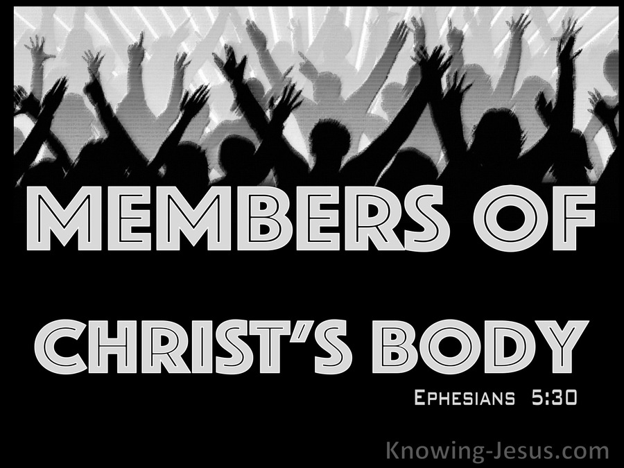 Ephesians 5:30 Members Of His Body And His Bones (gray)